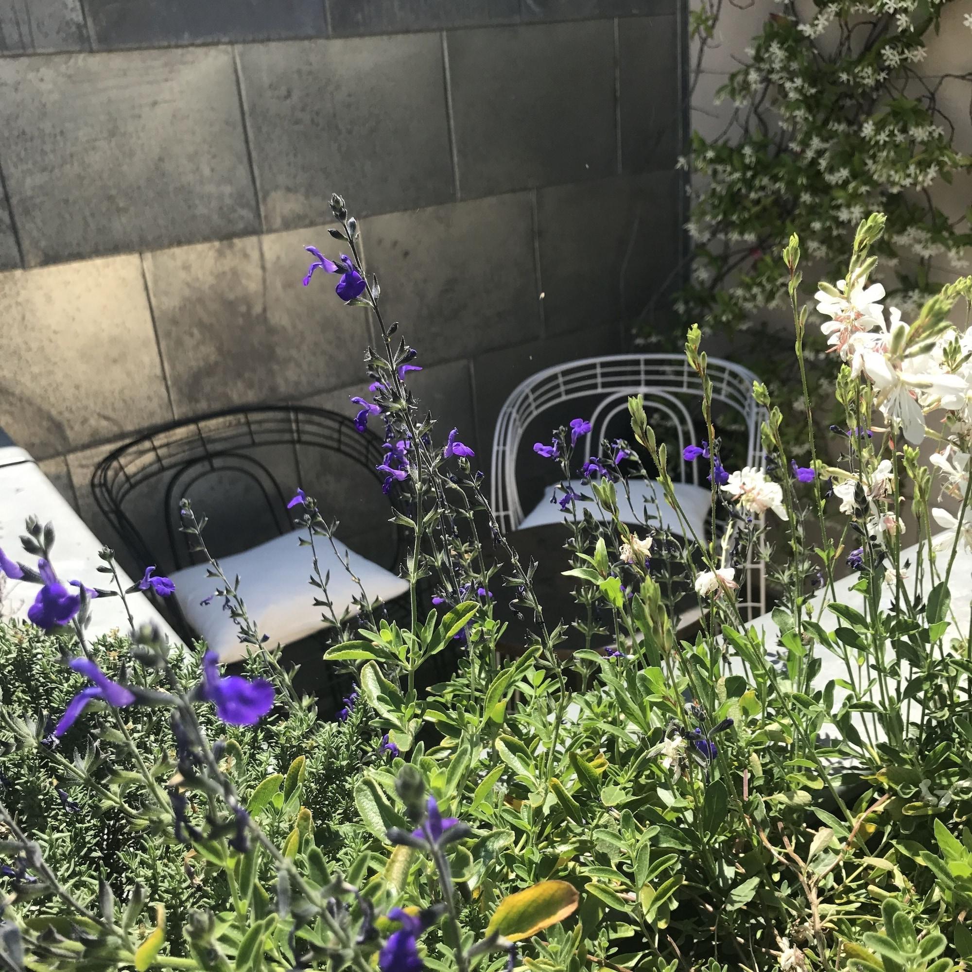 Hotel Recamier Paris Exterior photo